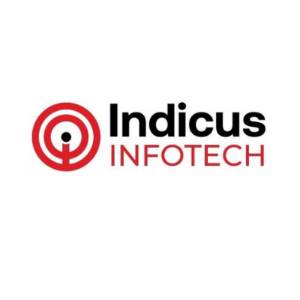 Indicus Infotech (OPC) Private Limited Shamsher Khan
